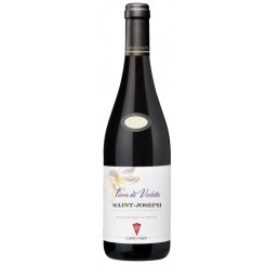 St-Joseph 2022 - Terre de Violette - Rhône Valley